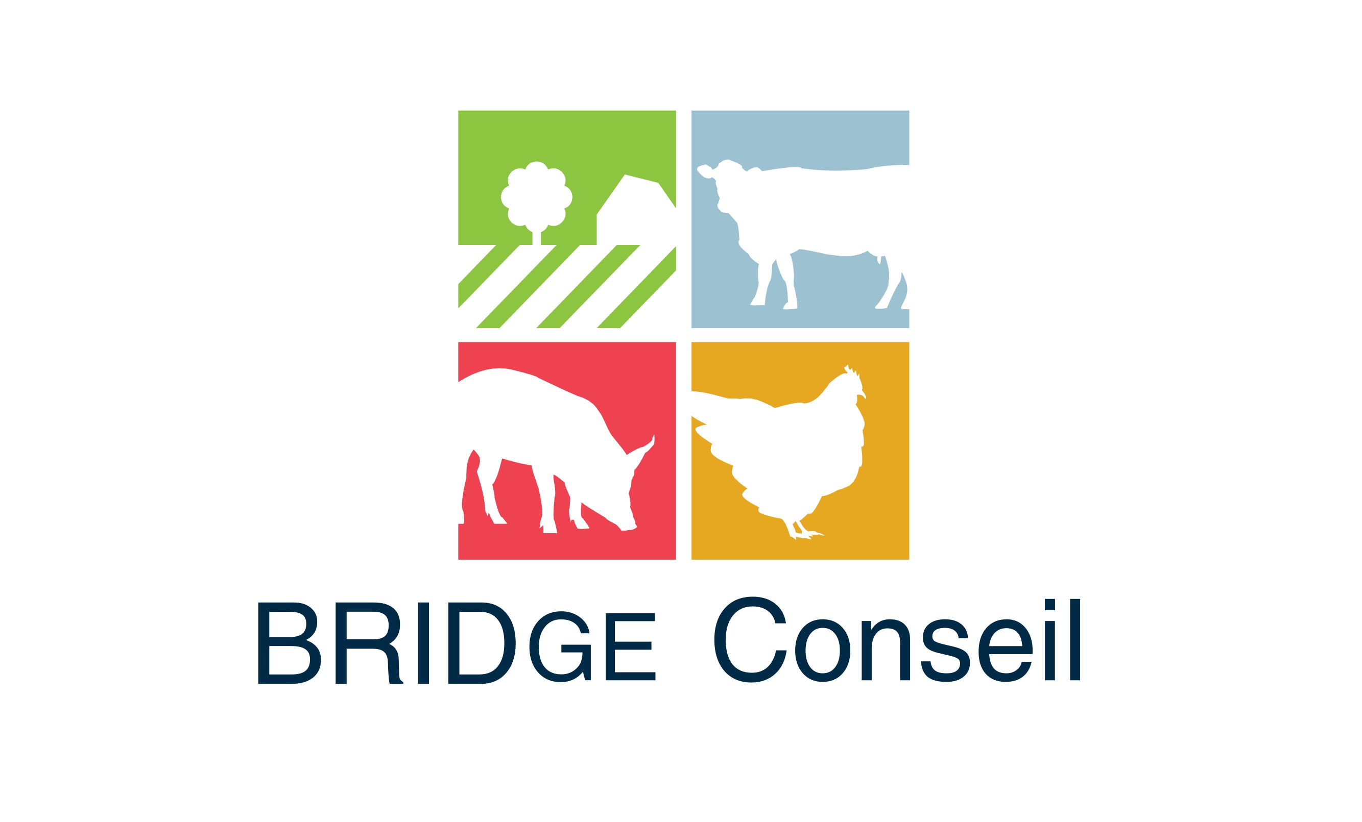 Logo Bridge Conseil