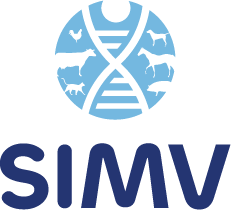 SIMV