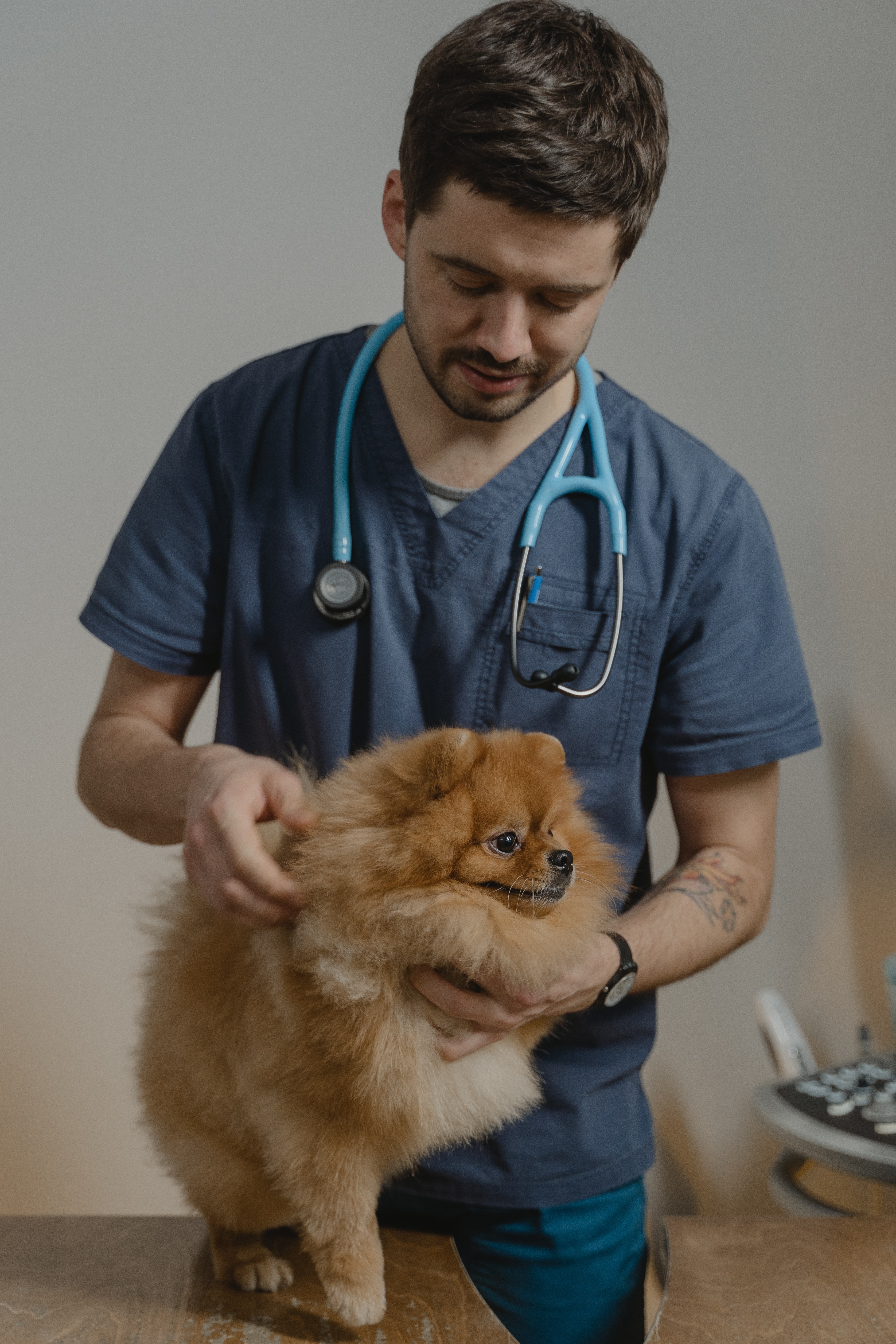 Vétérinaire avec un chien