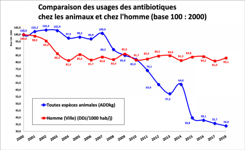Graphique Comparaison des usages des antibiotiques chez les animaux et chez les hommes