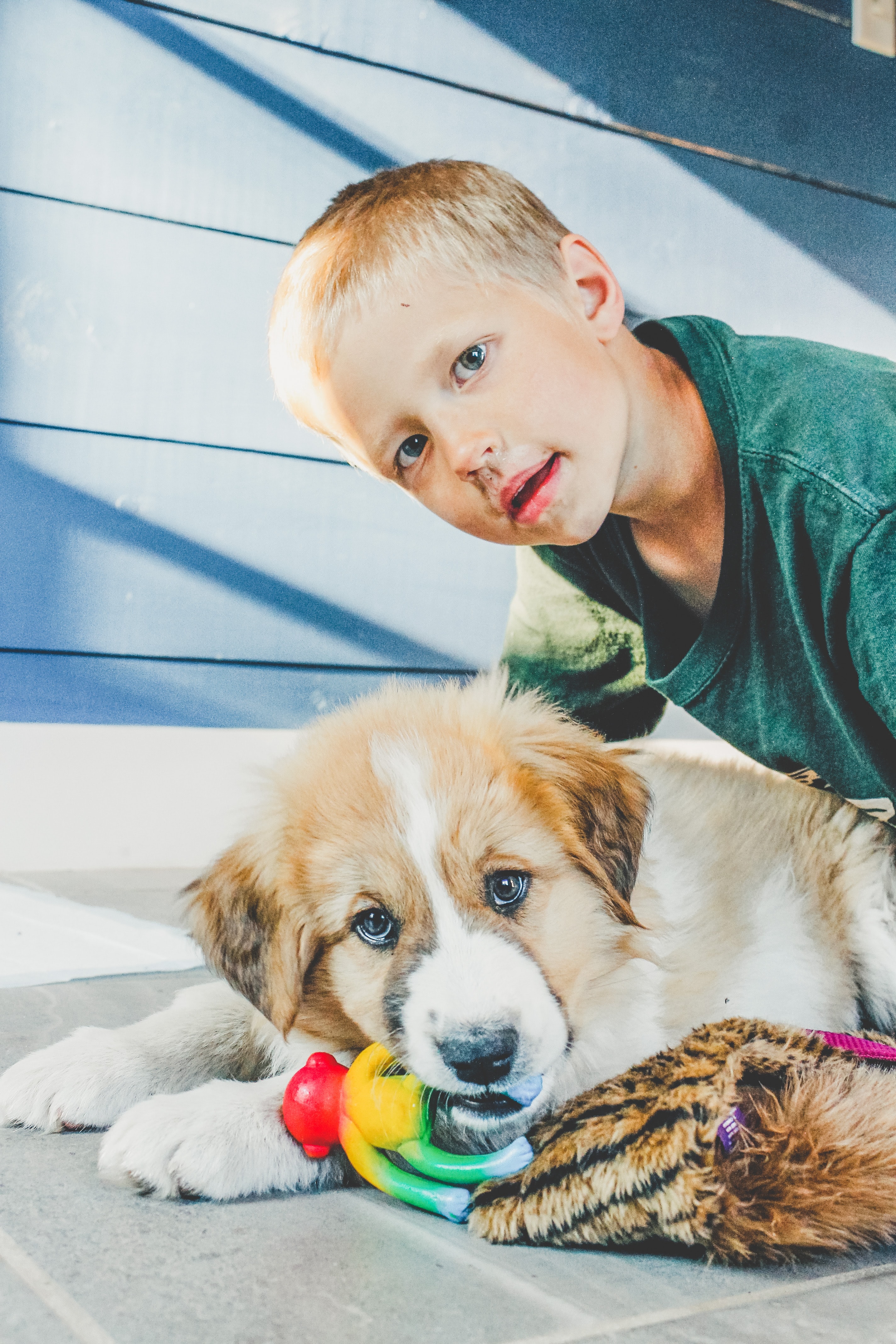 Enfant avec chien