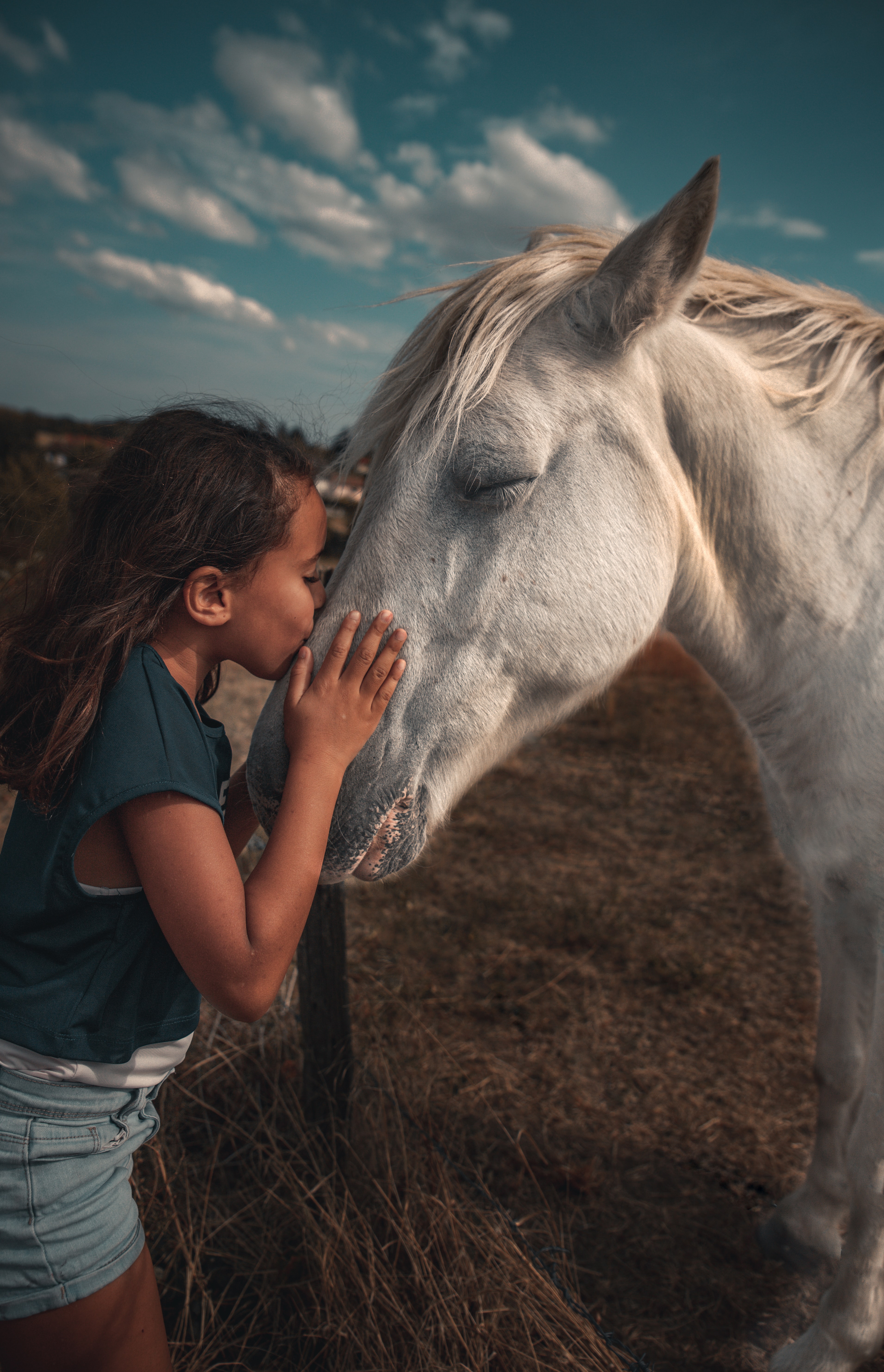 Cheval et enfant