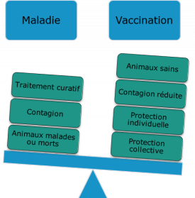 Légende - Avantages de la vaccination par rapport au traitement curatif