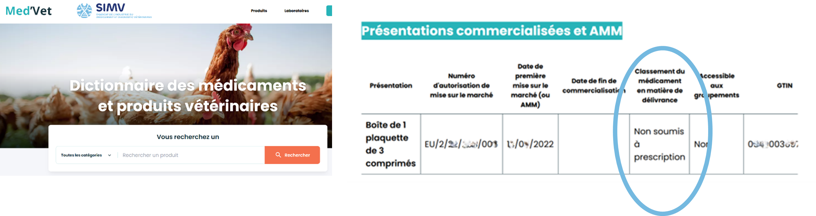 Copie d'écran MedVet