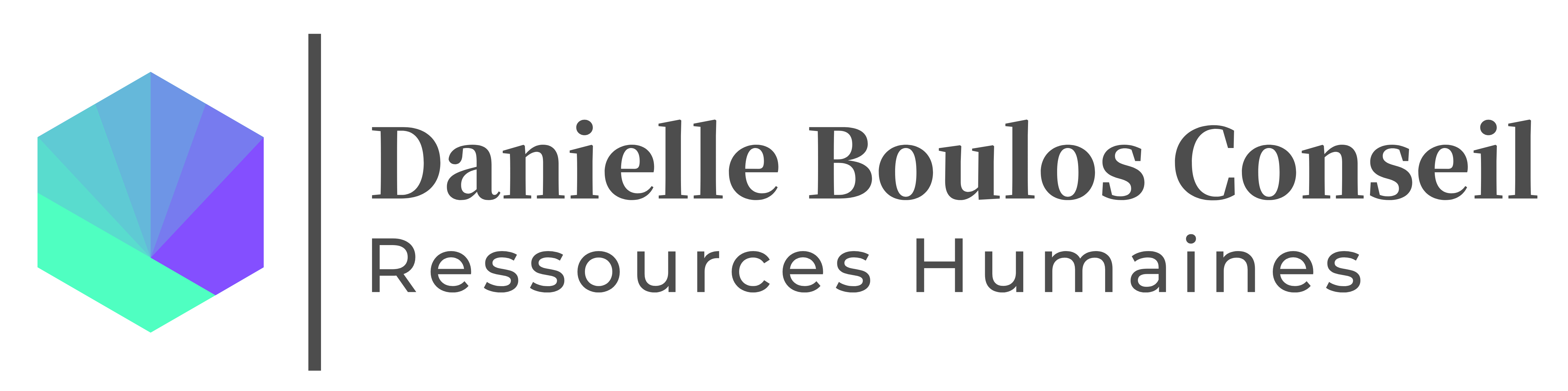Logo Danielle BOULOS CONSEIL