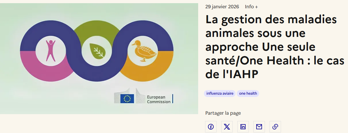 La gestion des maladies animales sous une approche Une seule santé : le cas de l'IAHP