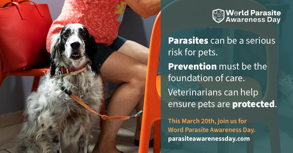 World Parasite Awareness Day 2026
