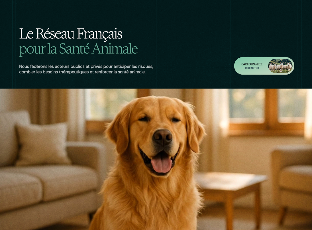 Le nouveau site internet du Réseau Français pour la Santé Animale (RFSA)