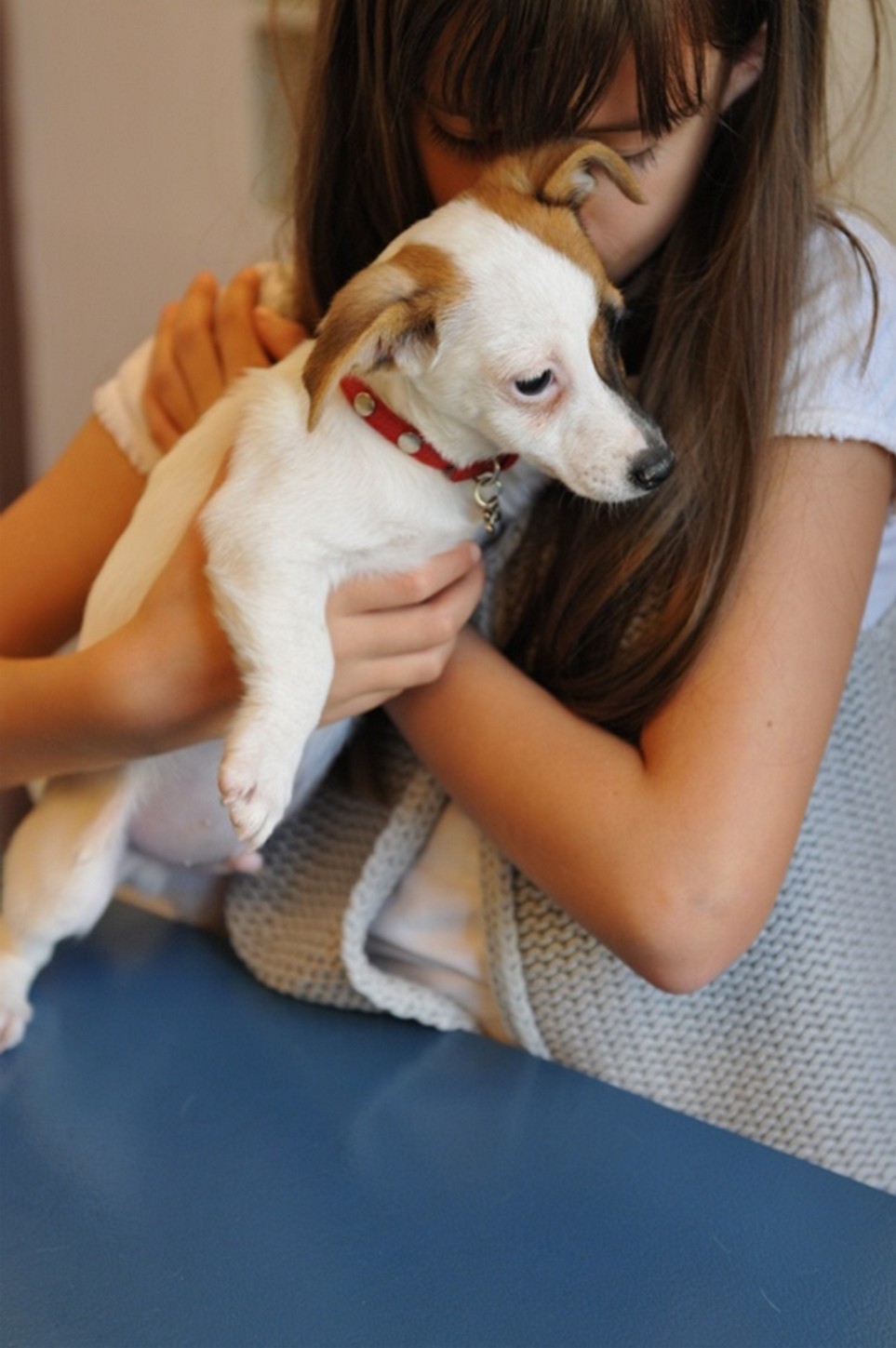 Chien dans les bras