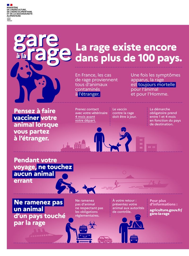 La rage existe encore dans plus de 100 pays