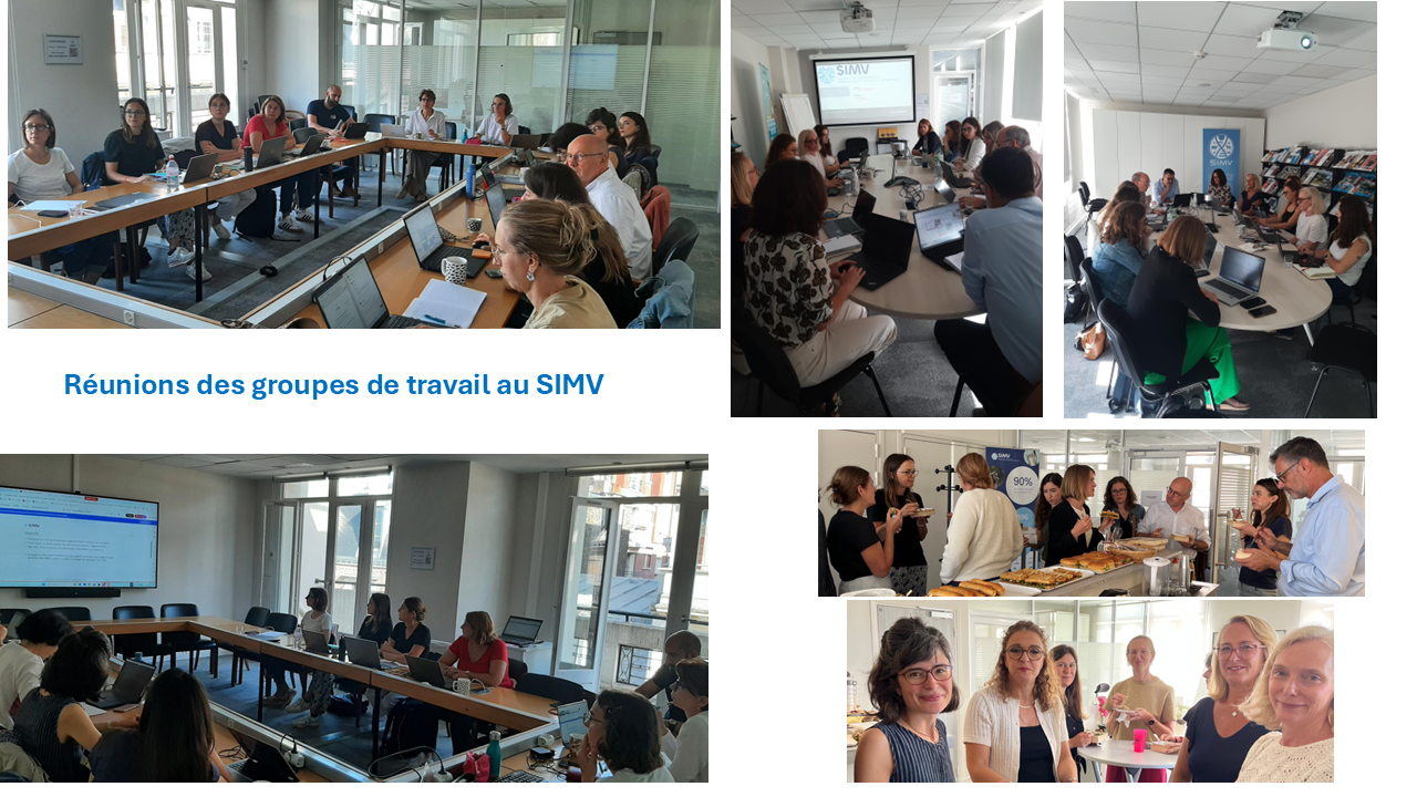 La mise en œuvre de la feuille de route du SIMV 2026-2027