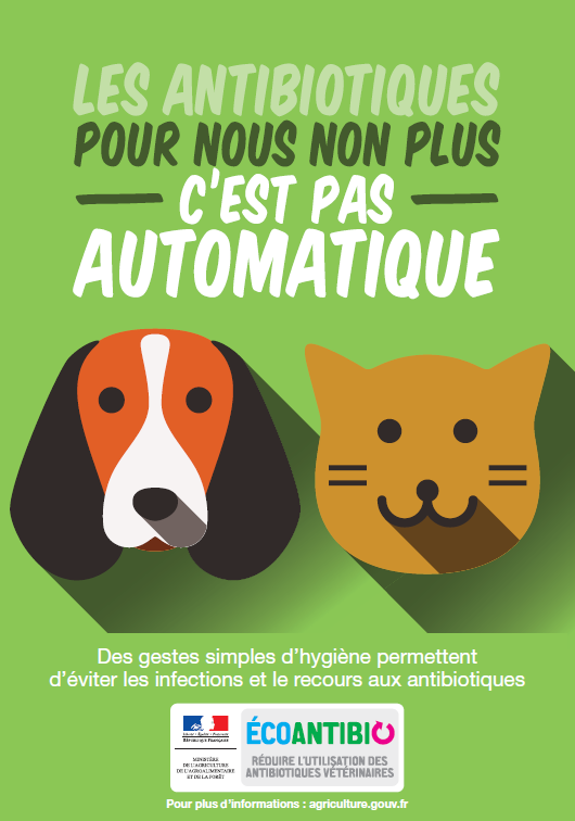 Complément Liquide Naturel Pour Chats - Soutien Peau, Pelage, Digestion - Saveur Poulet - 60ml (antibiotique Naturel)
