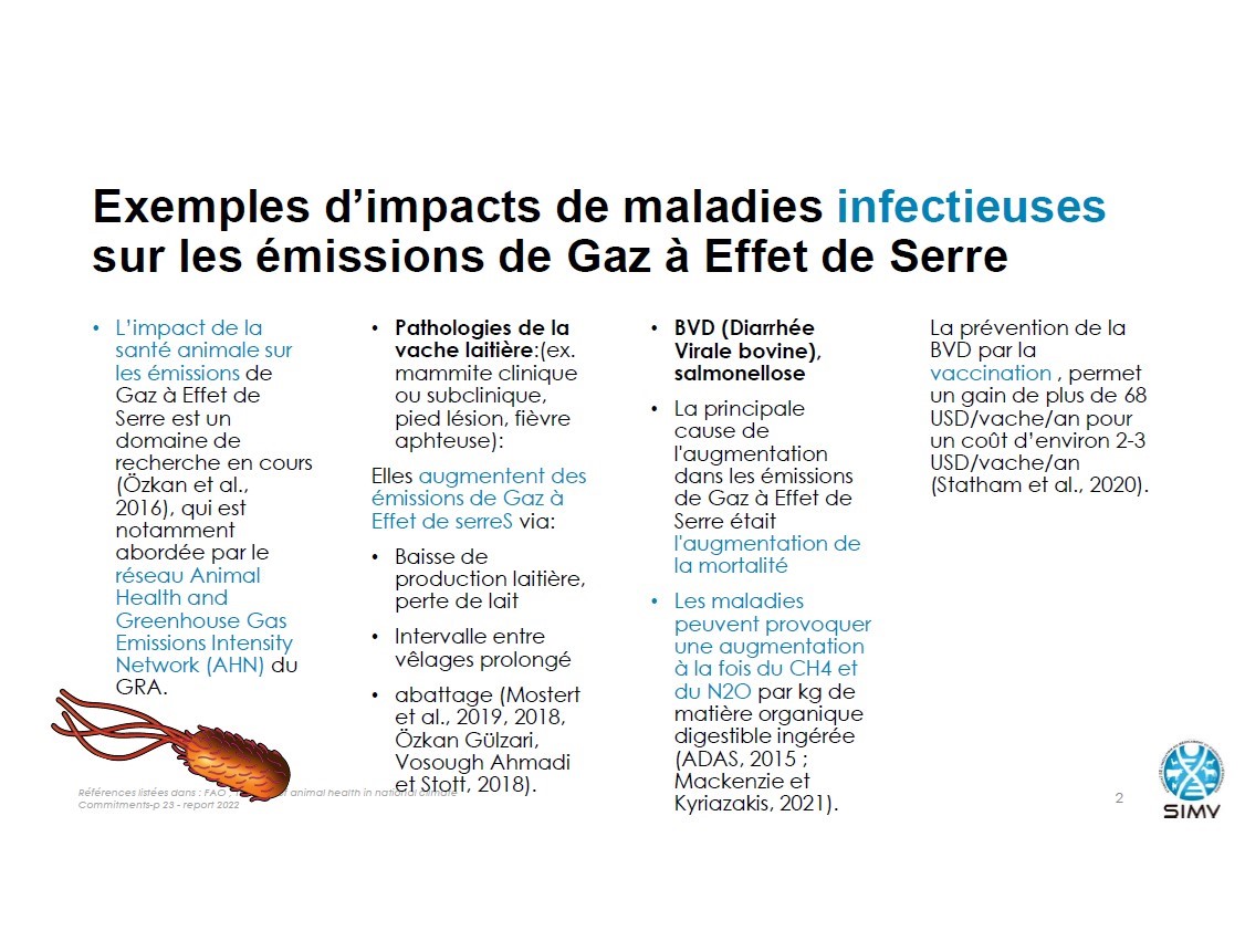 Exemples-d'impacts-de-maladies-infectieuses