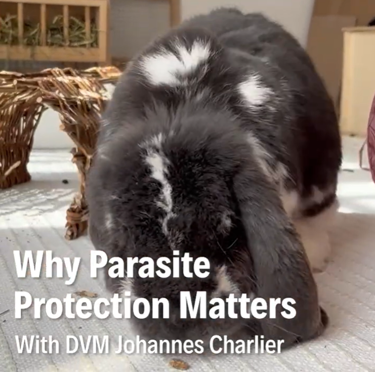 Dr Vet Johannes Charlier