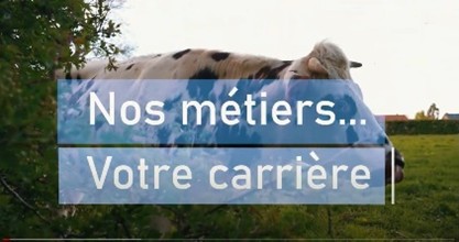 Nos métiers, votre carrière