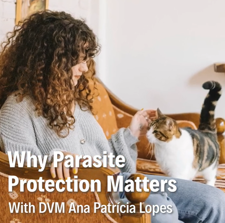 Dr Vet Ana Patrícia Lopes