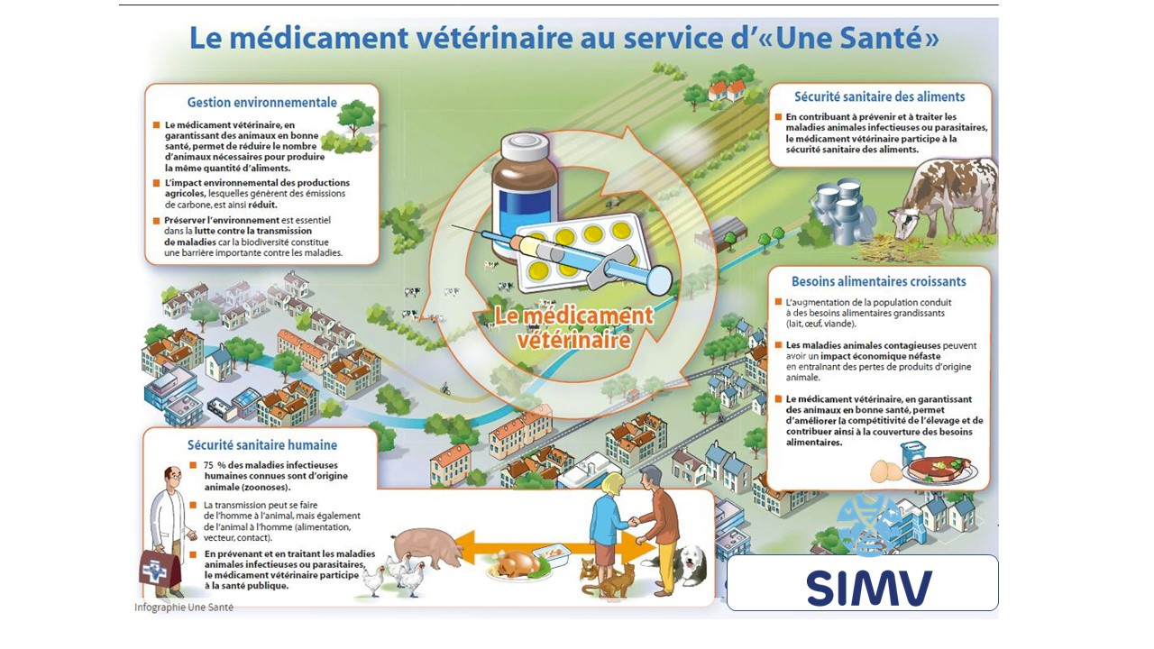 Infographie One Health