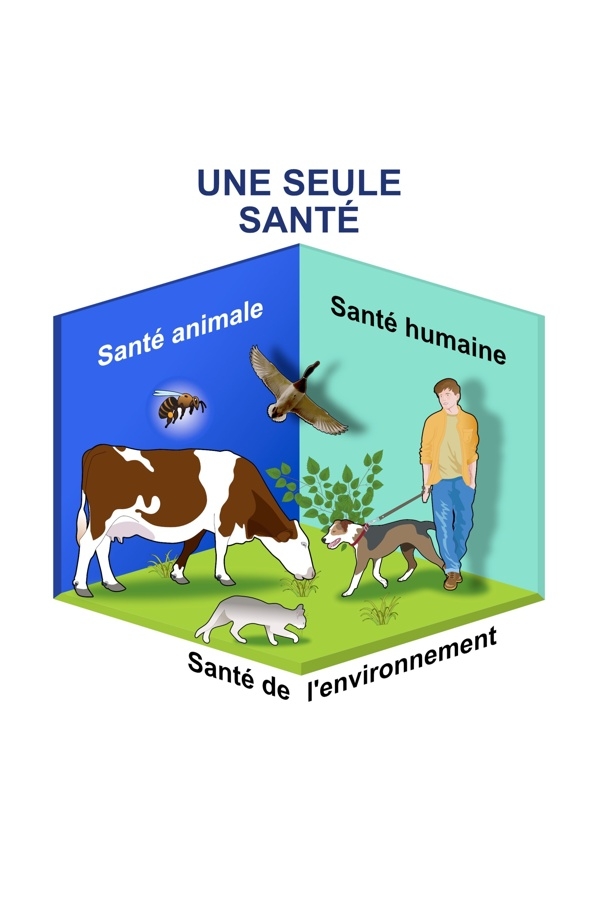 Une seule santé