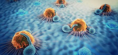 Illustration système immunitaire