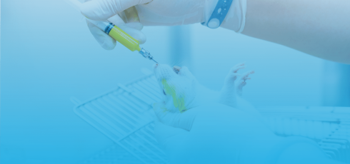 Illustration bien-être des animaux utilisés à des Fins Scientifiques