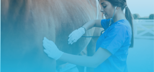 Maladies cardiovasculaires du cheval