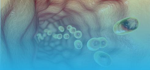 Illustration affection de l'œsophage