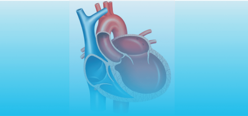 Illustration cardiomyopathie