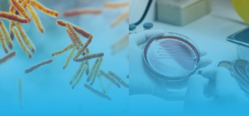 Illustration antibiotiques