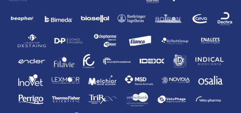 site_public_simv_patchwork_1108x680_maj_18.09.2025